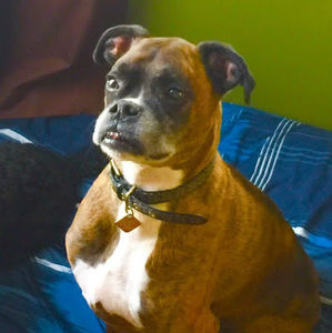 Meet your Posher, Jim